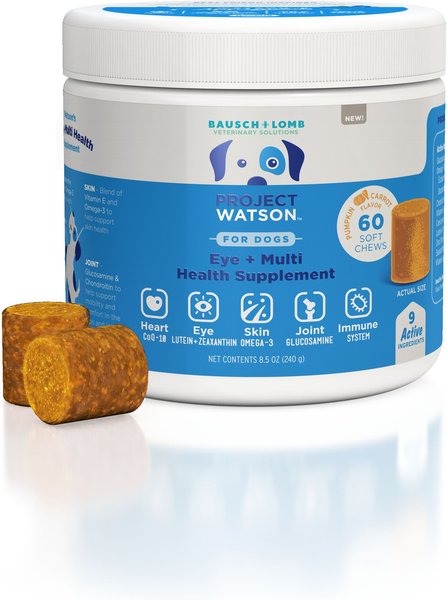Project Watson Eye & Multi Health Pumpkin & Carrot Flavored Soft Chew Supplement for Dogs, 60 count
