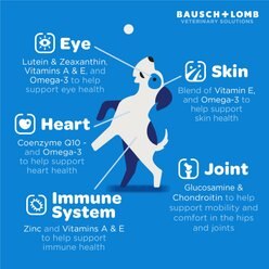Project Watson Eye & Multi Health Pumpkin & Carrot Flavored Soft Chew Supplement for Dogs, 60 count slide 2 of 9