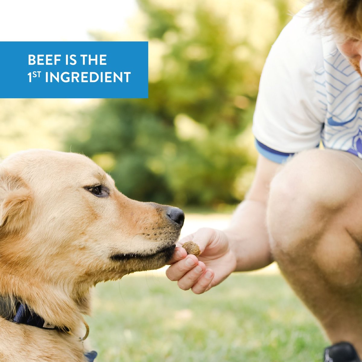 Dogswell Super Boost Squares Beef with Blueberry Recipe Dog Treats