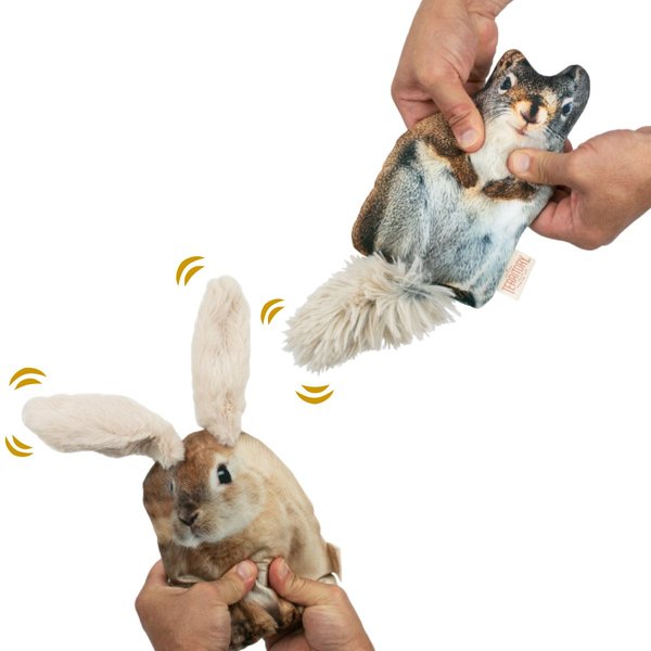 Territory Floppy Friends Rabbit & Squirrel Dog Toy Bundle, 2 count slide 1 of 4