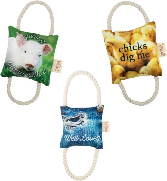Territory 2-Way Tug Rope Dog Toy Bundle, 3 count slide 1 of 4