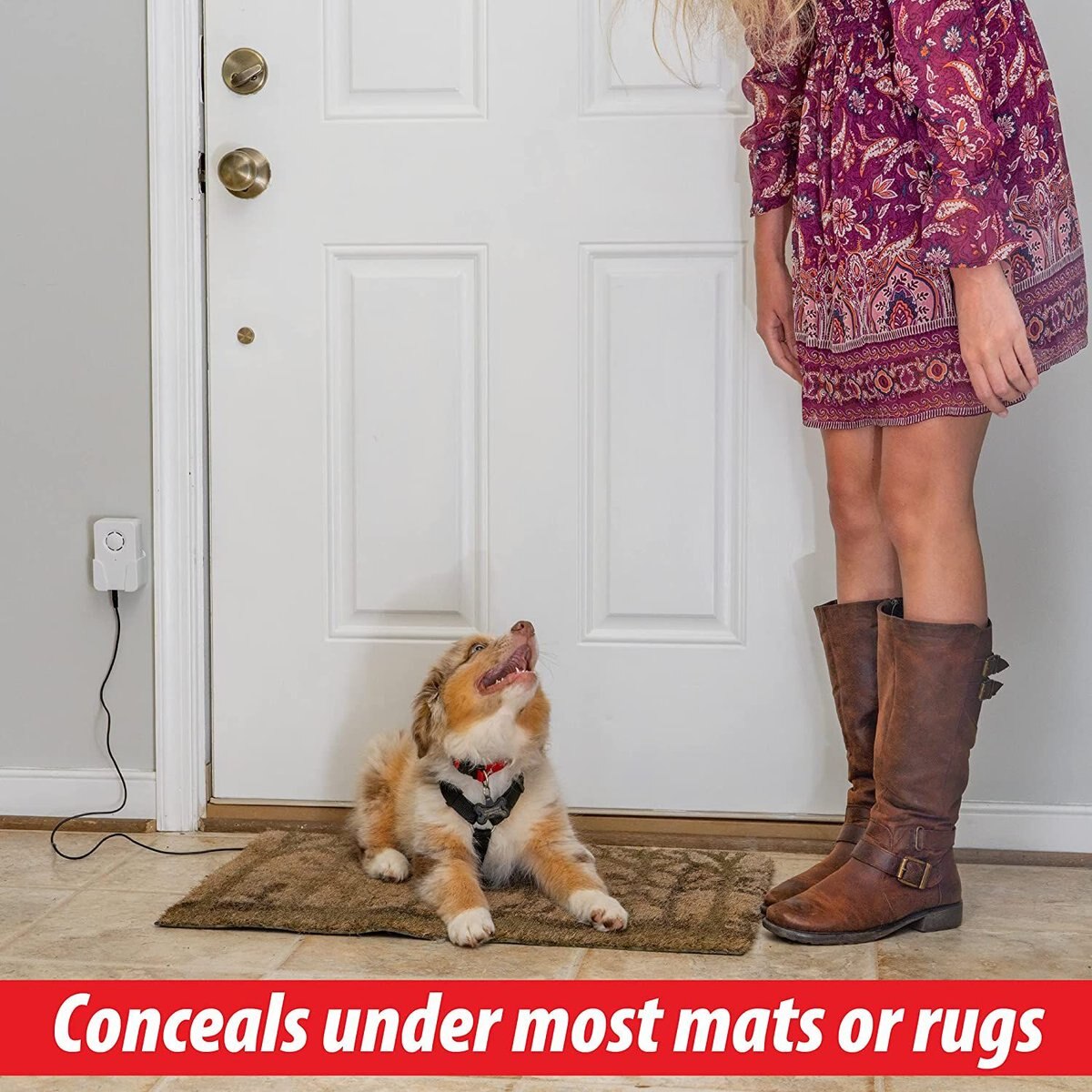 GOTTA POTTY Dog Potty Training System