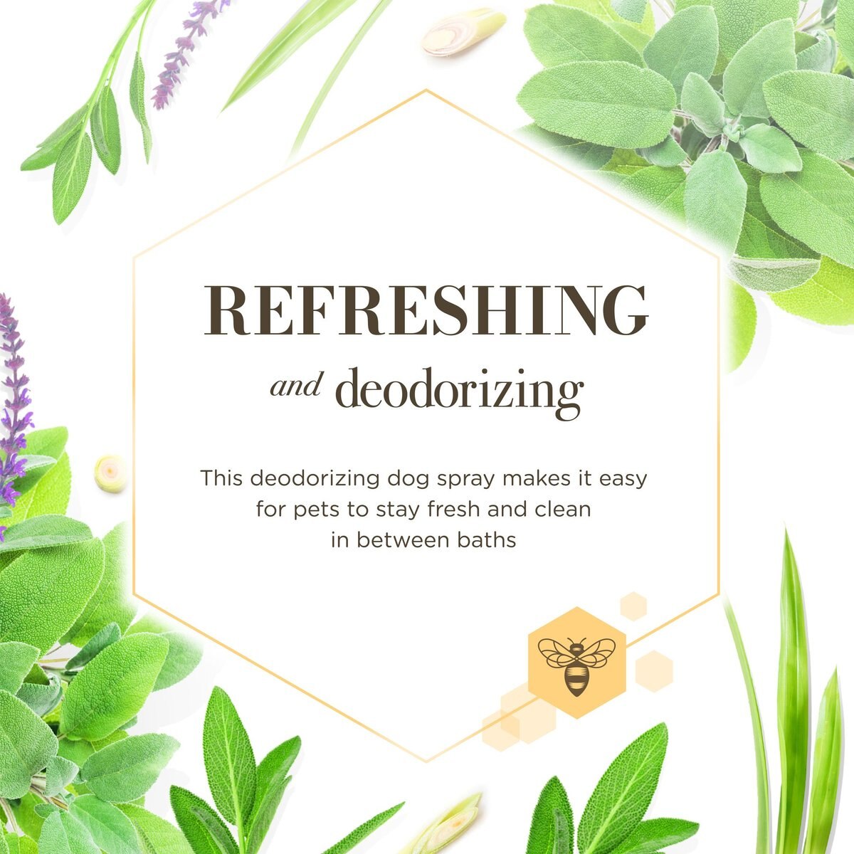 BURT'S BEES Sage & Lemongrass Scented Dog Deodorizing Spray, 8oz