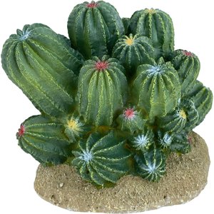 Komodo Cactus Barrel Reptile Ornament, Green