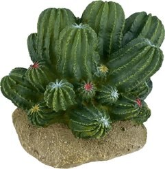Komodo Cactus Barrel Reptile Ornament, Green slide 2 of 6