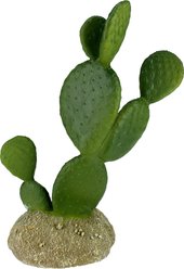 Komodo Cactus Prickly Pear Reptile Ornament, Green slide 2 of 4