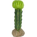 Komodo Cactus Moon Reptile Ornament, Green