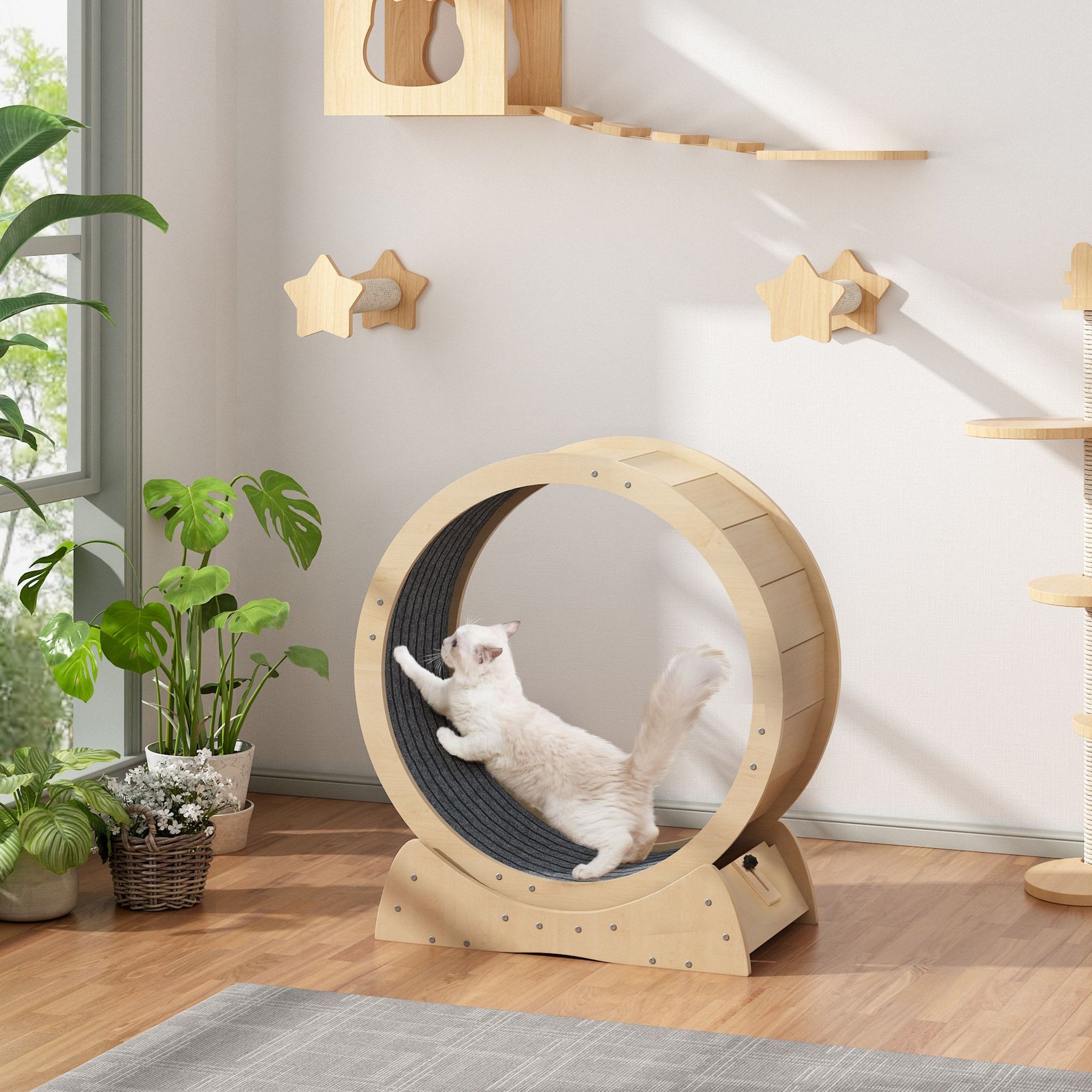 Cat sized outlet hamster wheel