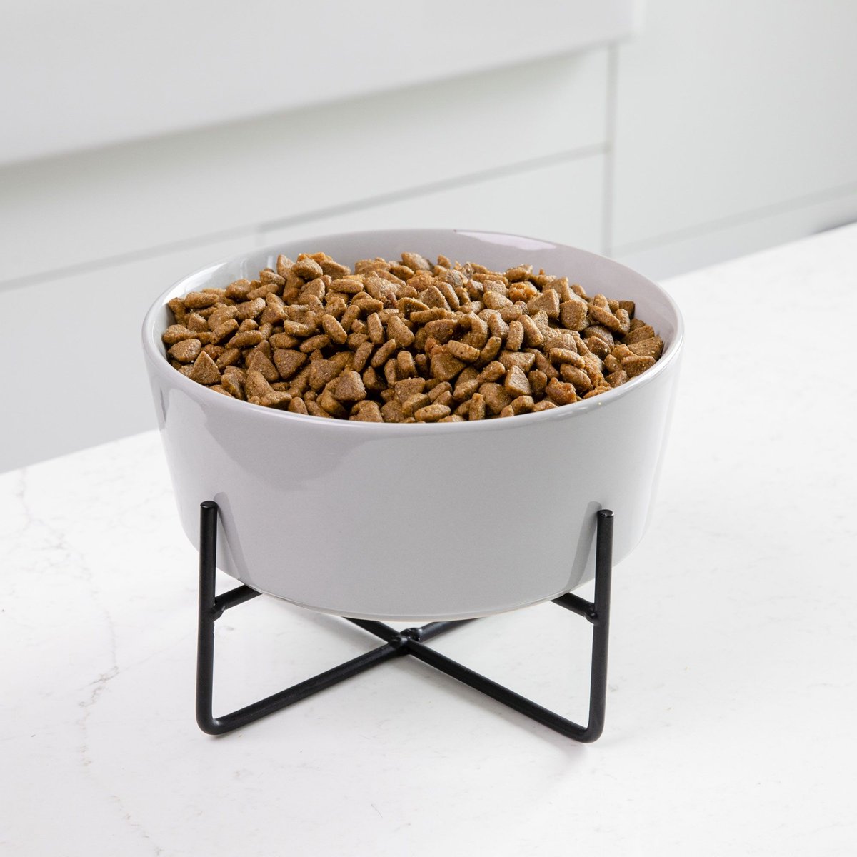 Waggo Simple Solid Ceramic Dog & Cat Bowl