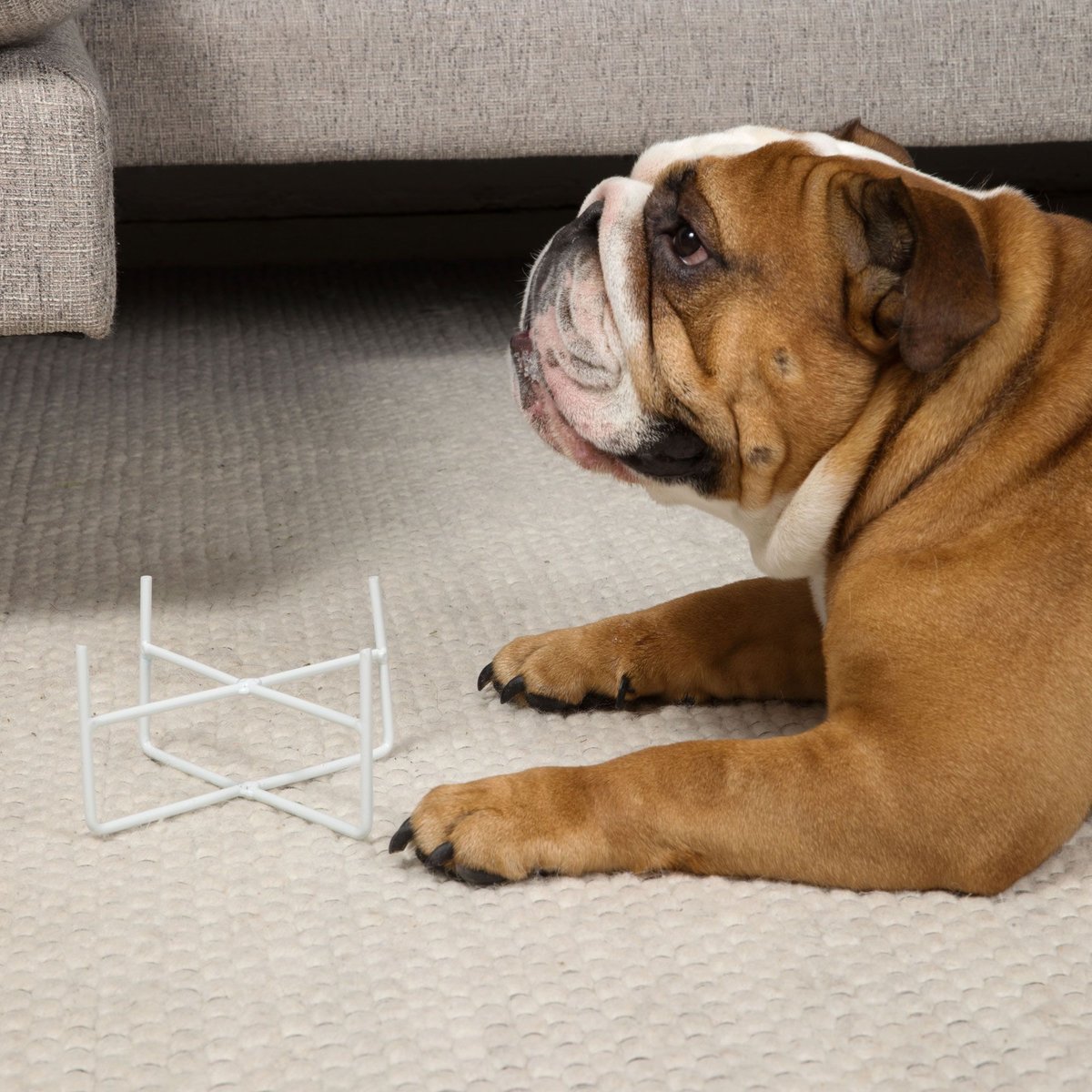 WAGGO Simple Solid Iron Dog & Cat Bowl Stand, Matte White, Large