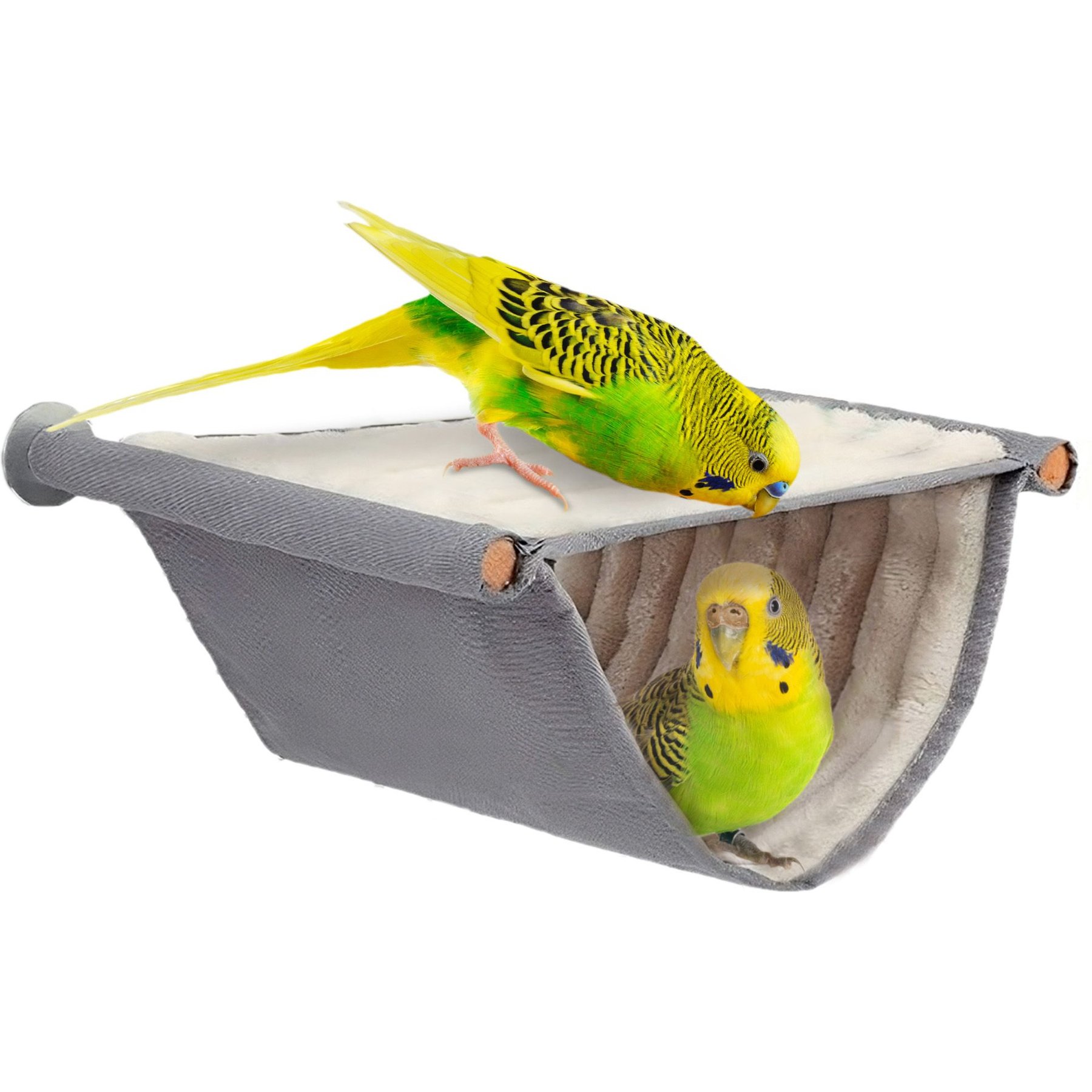 SUNGROW Cockatiel & Parakeet Cotton Rope Perch for Bird Cages, Rat & Small  Animal Climbing Accessories 