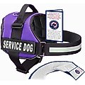 Industrial Puppy Service Dog Vest Harness with 2 Reflective Service Dog Patches & 50 ADA Cards, Purple, XX-Small