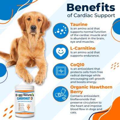 Show full view: Pet Health Pharma Cardiovast Heart Health Support Chicken Flavored Soft Chews Supplement for Cats & Dogs, 60 count slide 6 of 9