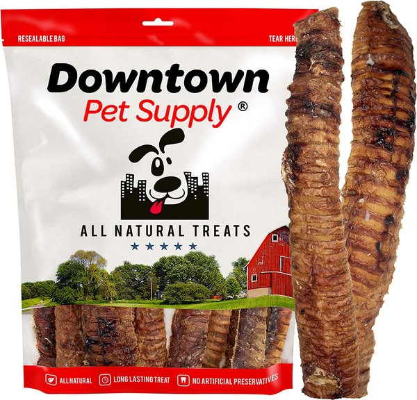Downtown Pet Supply USA Beef Trachea Strips 12-in Dog Treats, 6 count slide 1 of 6