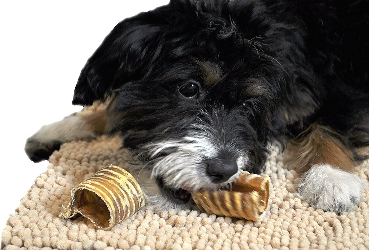 DOWNTOWN PET SUPPLY USA Beef Trachea 3in Dog Treats, 50 count