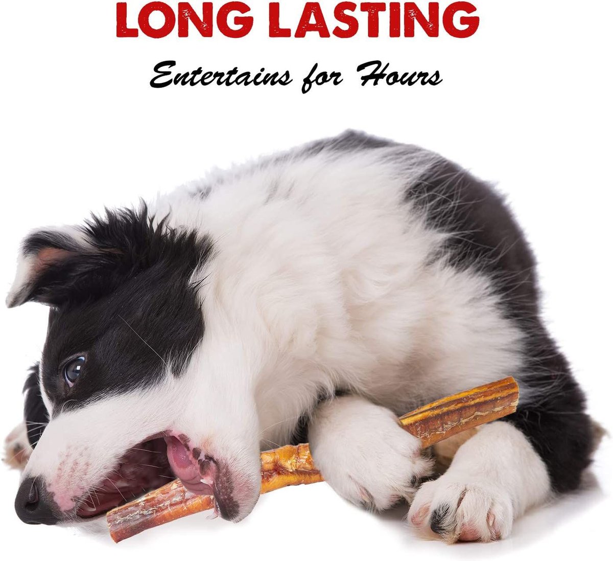 DOWNTOWN PET SUPPLY USA Bully Sticks 12in Jumbo Dog Treats, 3lb bag