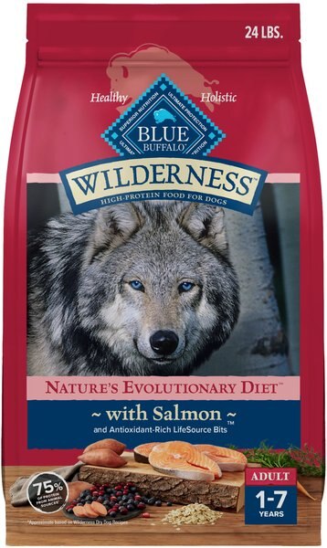 Blue Buffalo Wilderness Adult Salmon Dry Dog Food, 24-lb bag slide 1 of 10