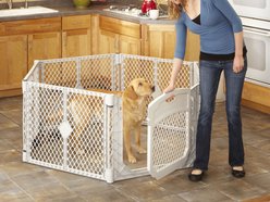 MyPet Petyard Plus Exercise Pen with Large Door Dog Pen, Gray slide 2 of 8