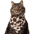 Frisco Leopard Faux Fur Dog & Cat Bandana, X-Small/Small