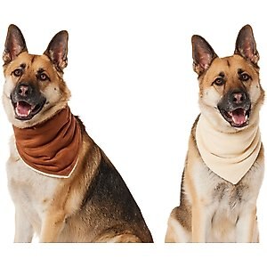 Frisco Reversible Cozy Knit Faux Fur Dog & Cat Pullover Bandana, X-Large/XX-Large