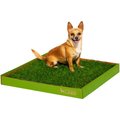 DoggieLawn Natural Real Grass Dog Pee Pad, 24-in x 24-in