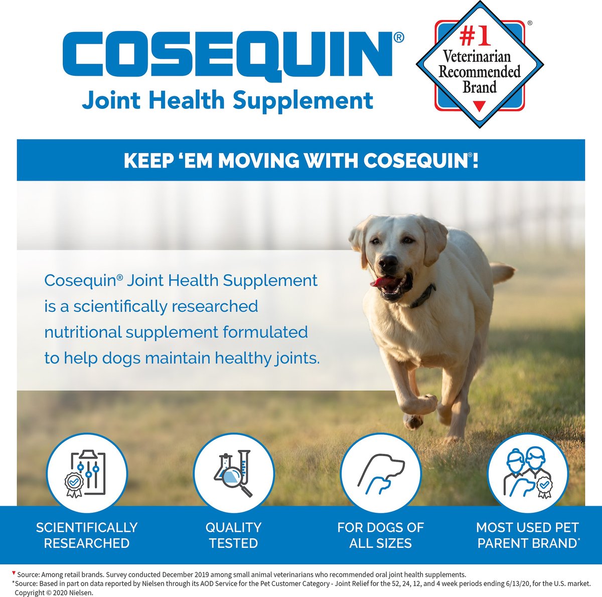 Cosequin ds chewable sales tablets for dogs