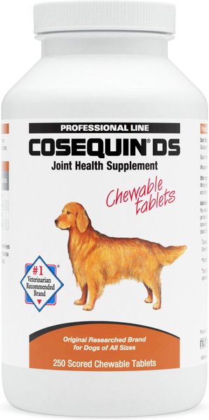 Nutramax Cosequin with Glucosamine & Chondroitin DS Chewable Tablets Joint Supplement for Dogs, 250 count slide 1 of 11