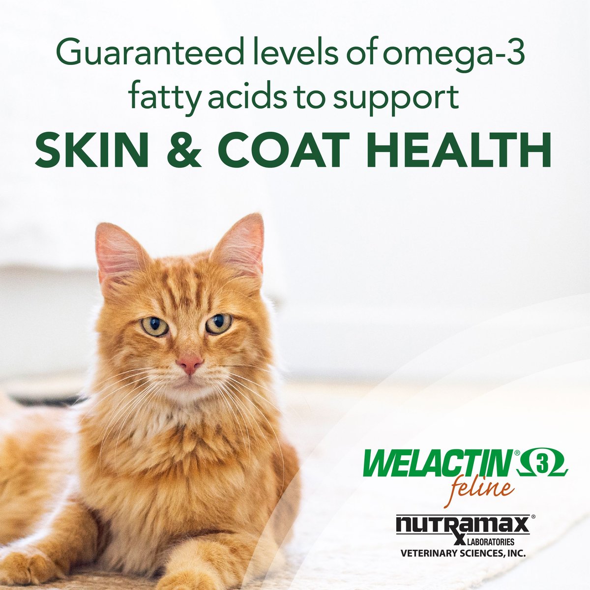 Nutramax Welactin Omega-3 Fish Oil Liquid Skin & Coat Supplement for Cats