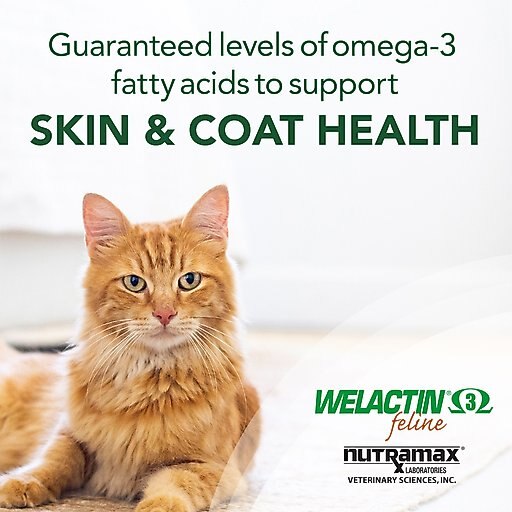 Nutramax Welactin Omega-3 Fish Oil Liquid Skin & Coat Supplement for Cats, 4-oz