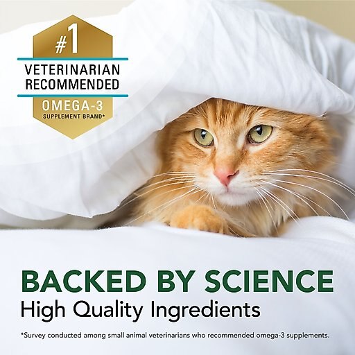 Nutramax Welactin Omega-3 Fish Oil Liquid Skin & Coat Supplement for Cats, 4-oz