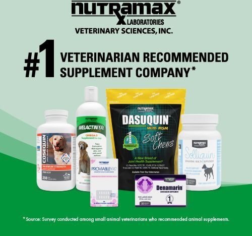 Nutramax Welactin Omega-3 Fish Oil Liquid Skin & Coat Supplement for Cats, 4-oz