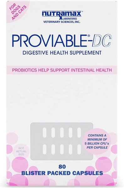 Nutramax Proviable Probiotics & Prebiotics Capsules Digestive Supplement for Cats & Dogs, 80 count slide 1 of 11