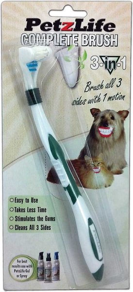 Chewy dog outlet toothbrush