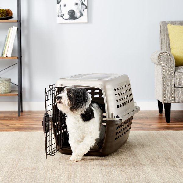 Chewy petmate outlet kennel