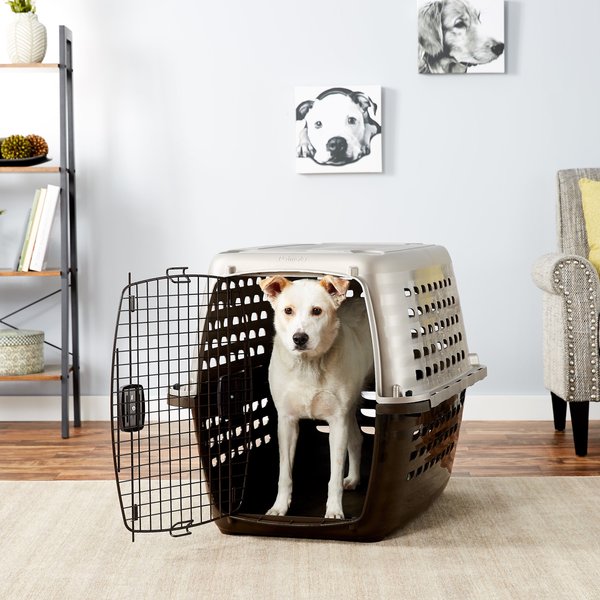 Discontinued - PETMATE Navigator Plastic Dog & Cat Kennel, Large ...