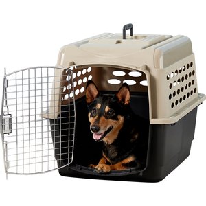 Most Durable Dog Travel Carrier