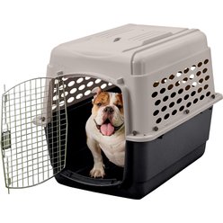 Chewy petmate kennel best sale