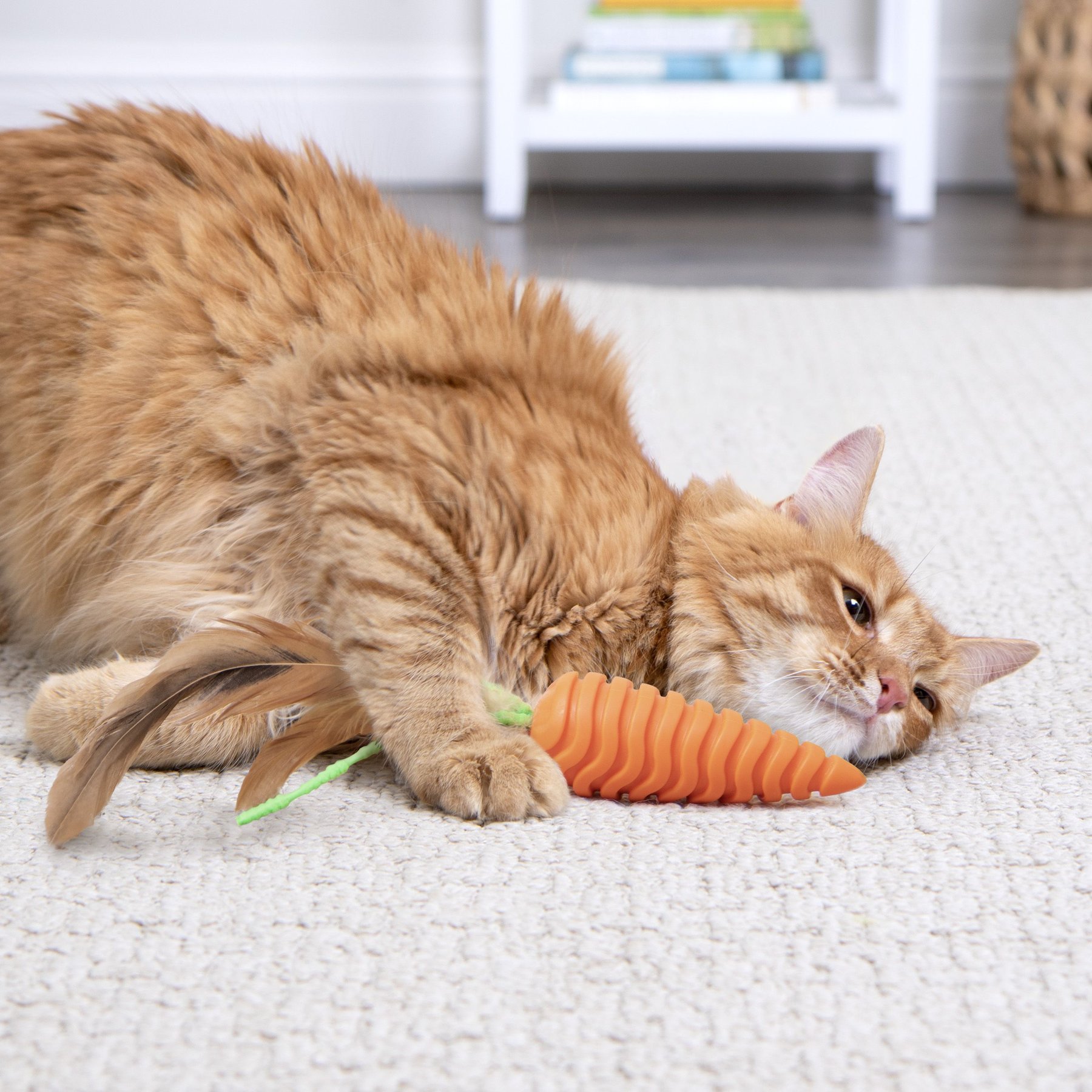 Carrot & Bone Shaped Cat And Dog Toy