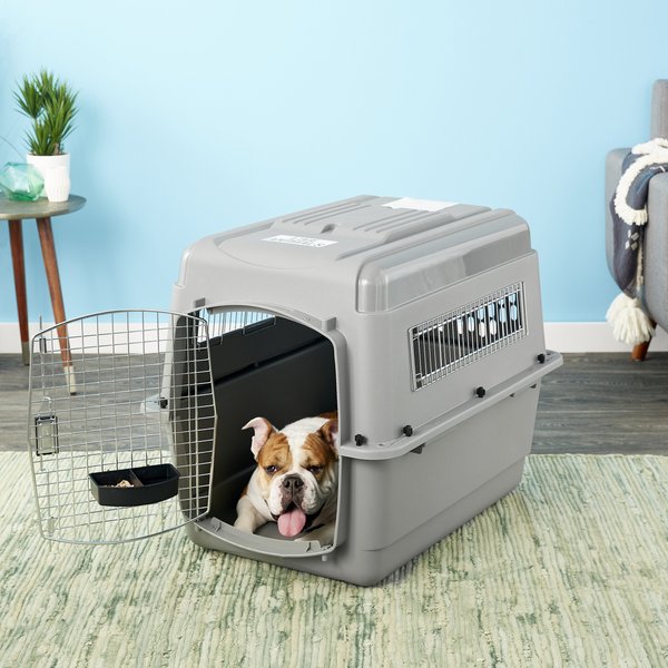 PETMATE Sky Dog & Cat Kennel, Gray, 32-in, 30-50-lbs - Chewy.com