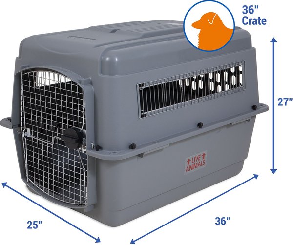 Pet sky kennel hotsell