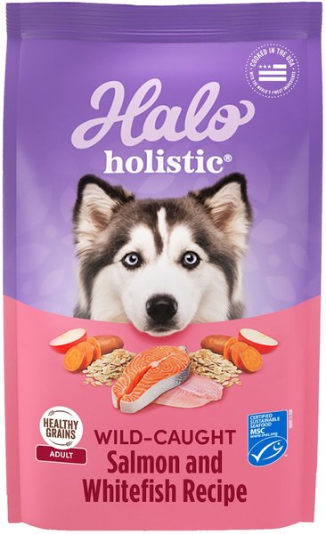 Halo Holistic Complete Digestive Health Wild-Caught Salmon & Whitefish Dog Food Recipe Adult Dry Dog Food, 3.5-lb bag slide 1 of 10