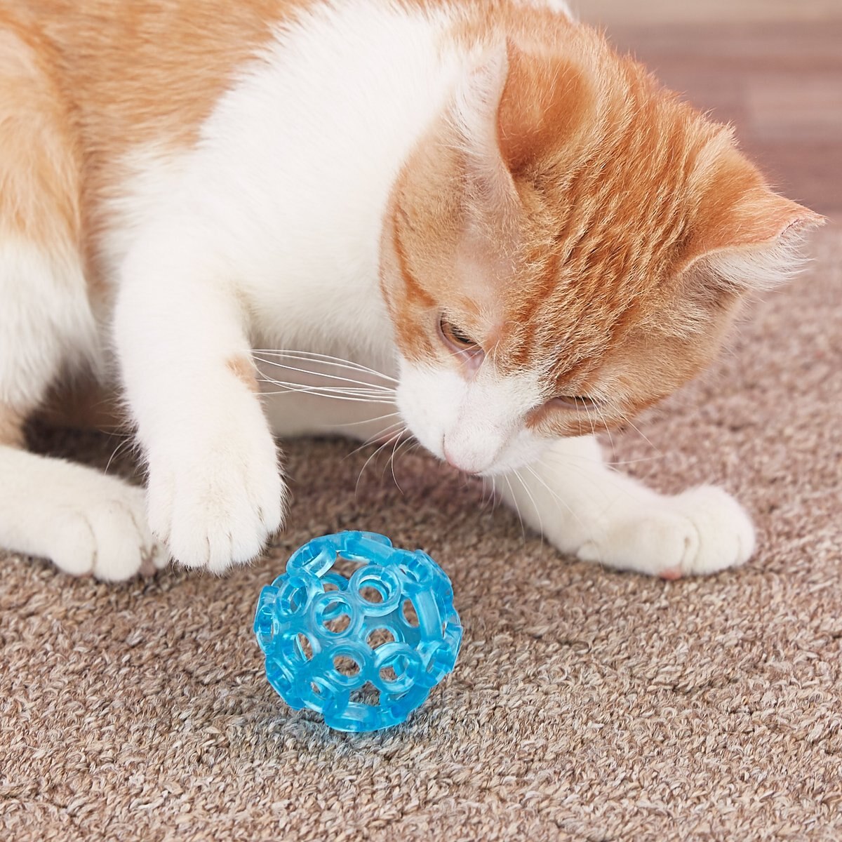 JW PET Cataction Lattice Ball Cat Toy