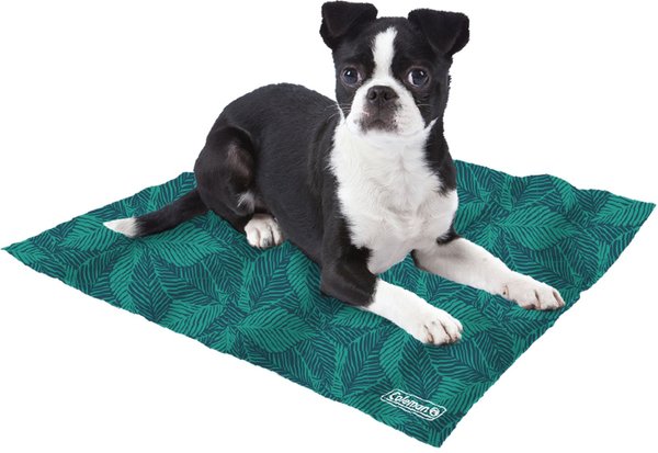 Chewy cooling mat best sale