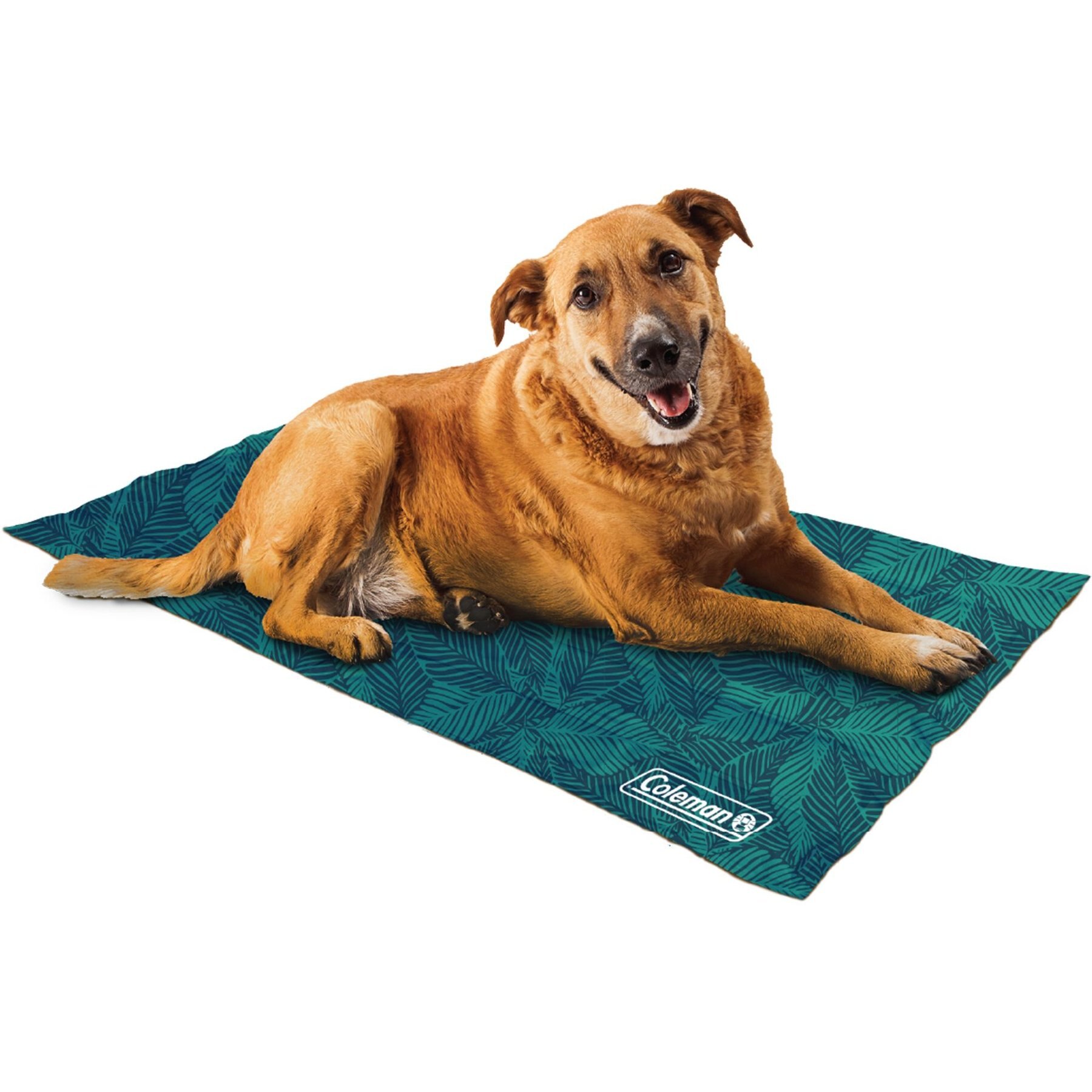 Coleman Rectangular Cooling Dog Mat Navy Teal Large