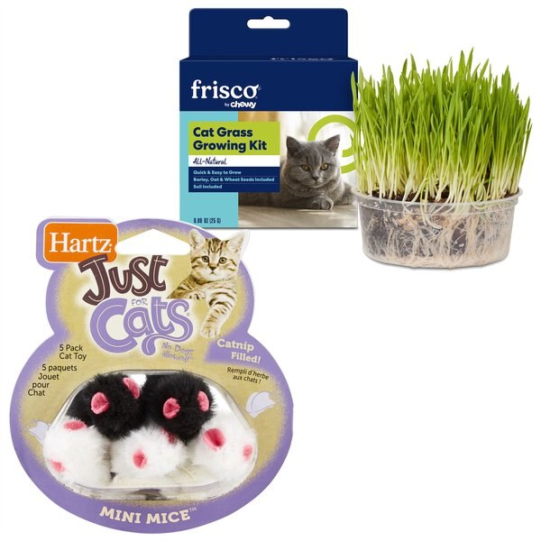Frisco Natural Grass Growing Kit + Hartz Just for Cats Mini Mice Cat Toy with Catnip, 5 count slide 1 of 9