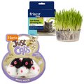Frisco Natural Grass Growing Kit + Hartz Just For Cats Mini Mice Cat Toy with Catnip, 5 count
