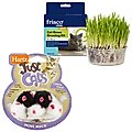 Frisco Natural Grass Growing Kit + Hartz Just for Cats Mini Mice Cat Toy with Catnip, 5 count