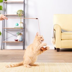 JW Pet Cataction Butterfly Wand Cat Toy slide 2 of 4