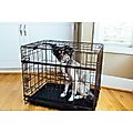 Lucky Dog DWELL Series Dog Crate, Bronze, X-Small