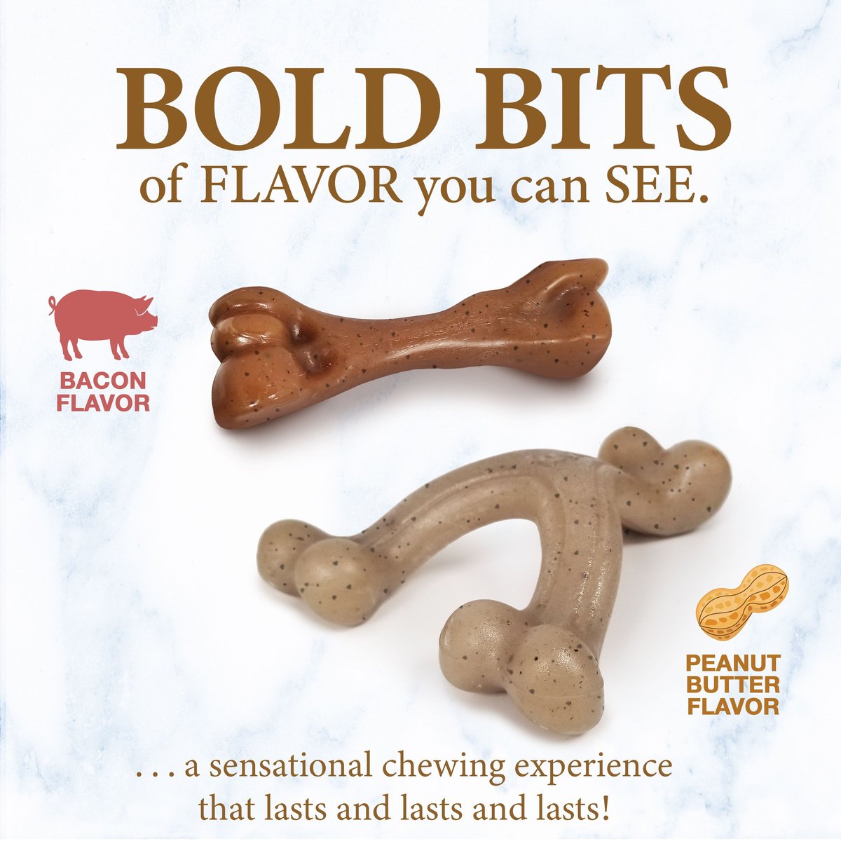 Nylabone Holiday Puppy Chew Petite Bacon Flavor Dog Chew Toy